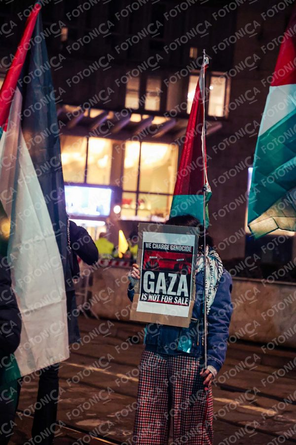 Manifestante con cartello e bandiera della Palestina