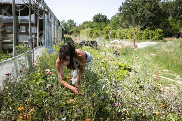 Donna che lavora in un campo agricolo